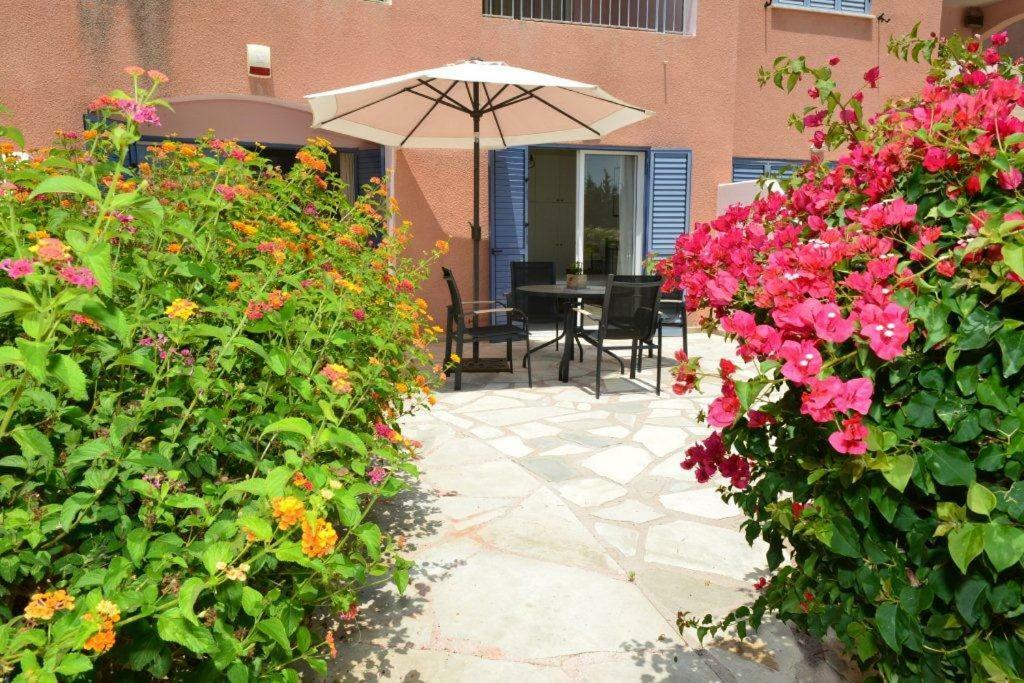 Limnaria Villas Sunny Garden Apartment Paphos ภายนอก รูปภาพ